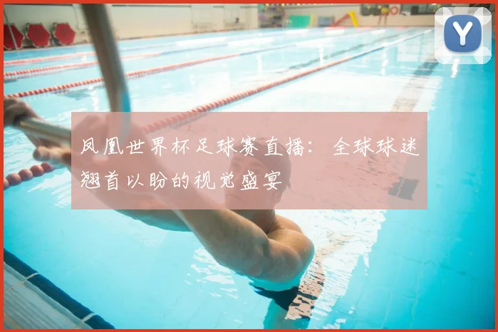 凤凰世界杯足球赛直播：全球球迷翘首以盼的视觉盛宴