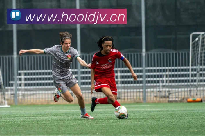 kaiyun登录入口网址平台生态图